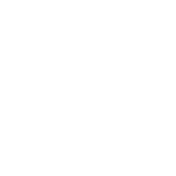Volkswagen Chacao